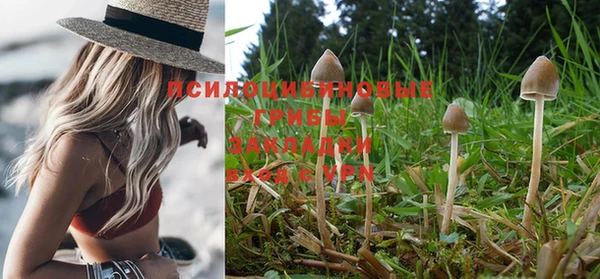 стафф Богородицк