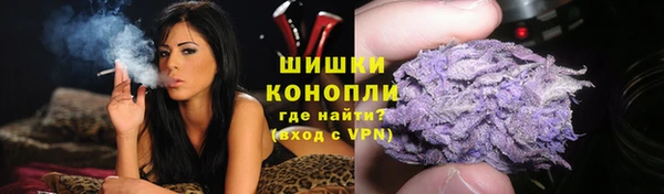 стафф Богородицк