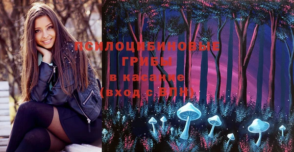 мяу мяу кристалл Богданович
