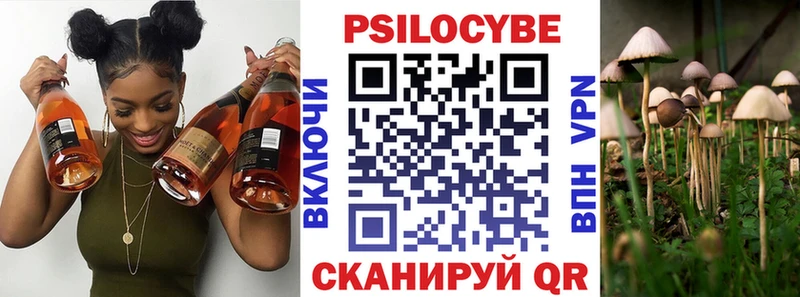 Галлюциногенные грибы Cubensis  omg tor  Кирсанов 